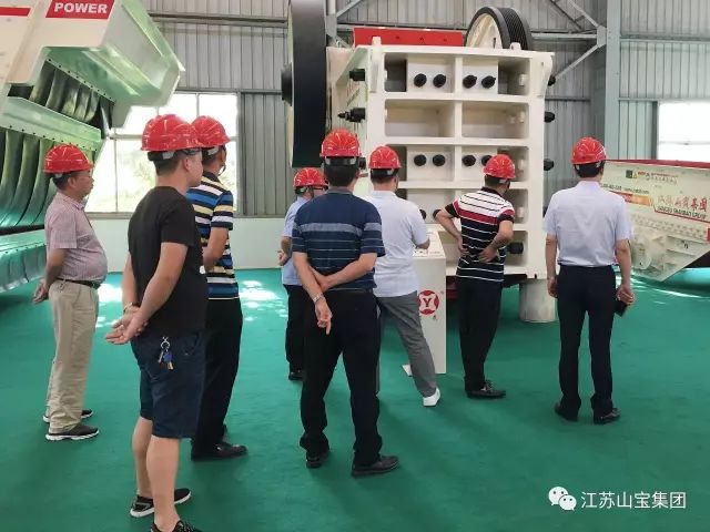 江蘇山寶集團(tuán)：湖北鑫九龍鈣業(yè)有限公司、山東易拓新材料有限公司、南京工業(yè)大學(xué)領(lǐng)導(dǎo)蒞臨考察指導(dǎo)！(圖6)