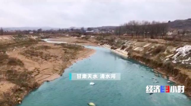 被染綠的黃河支流周晉峰接受央視采訪：排污—挖砂—垃圾…黃河治理需要生態(tài)文明(圖5)