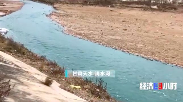 被染綠的黃河支流周晉峰接受央視采訪：排污—挖砂—垃圾…黃河治理需要生態(tài)文明(圖8)