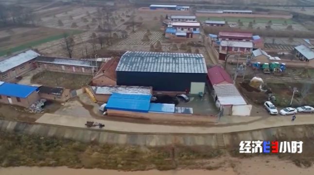 被染綠的黃河支流周晉峰接受央視采訪：排污—挖砂—垃圾…黃河治理需要生態(tài)文明(圖9)