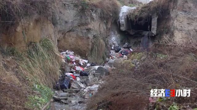 被染綠的黃河支流周晉峰接受央視采訪：排污—挖砂—垃圾…黃河治理需要生態(tài)文明(圖13)