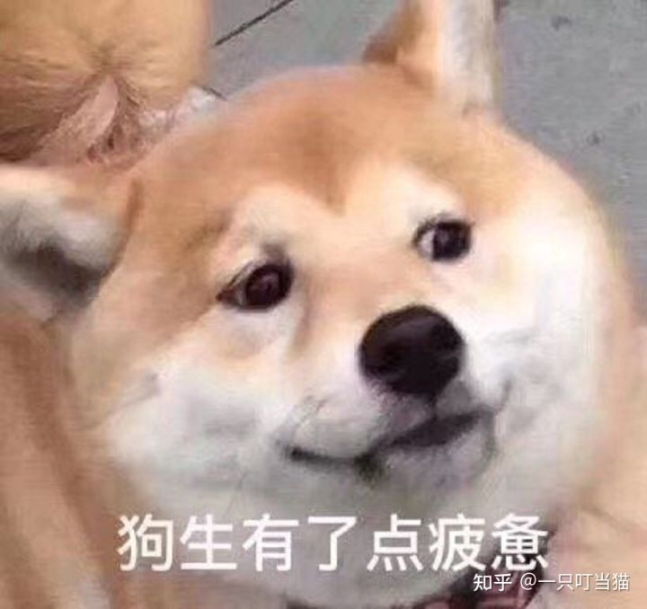 2022年移動(dòng)29元70G校園流量卡,到底值不值得辦理?(流量卡推薦)(圖2) 2022年移動(dòng)29元70G校園流量卡,到底值不值得辦理?(流量卡推薦)(圖2)