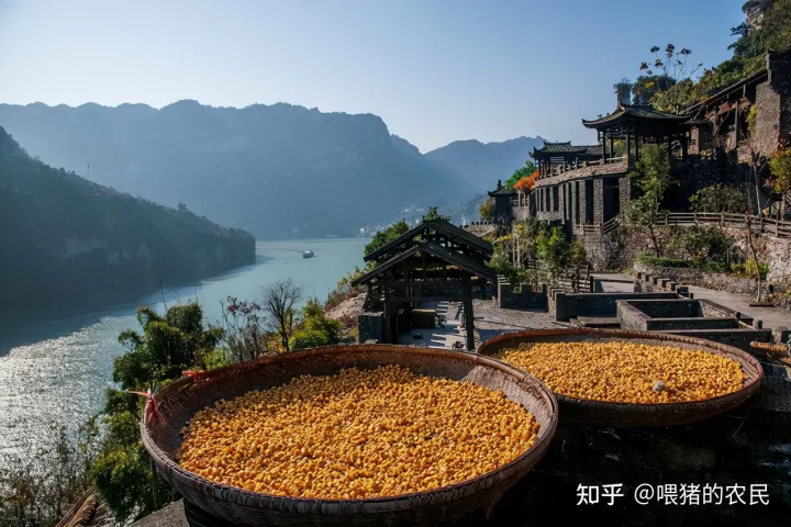 ?湖北3大“倒霉酒”，在當地口碑一流，為何出了本地沒有名氣？(圖2)