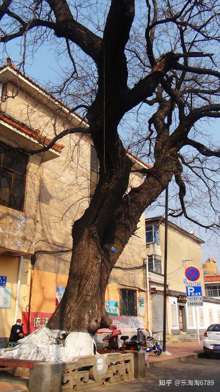泰安：它是最古老街道之一，里面曾是豪宅林立，住著達(dá)官貴人，現(xiàn)僅存一處別樣景觀！(圖11)
