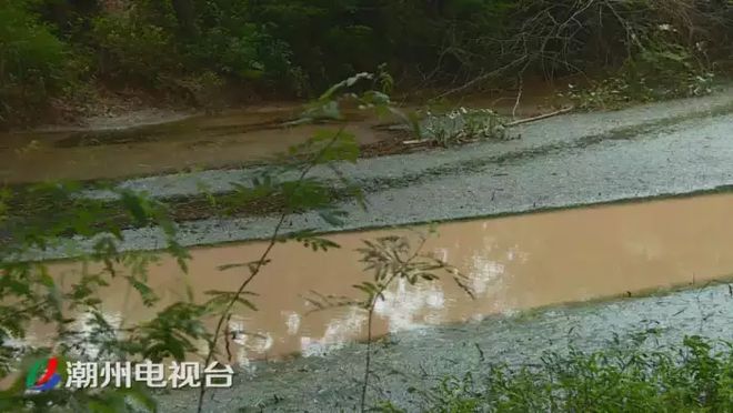 潮州鐵鋪溪流發(fā)黃淤泥堆積,都是洗砂場(chǎng)惹的禍(圖3)