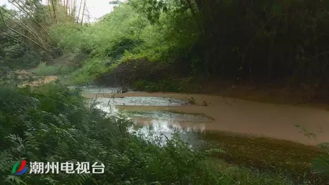 潮州鐵鋪溪流發(fā)黃淤泥堆積,都是洗砂場(chǎng)惹的禍(圖6)