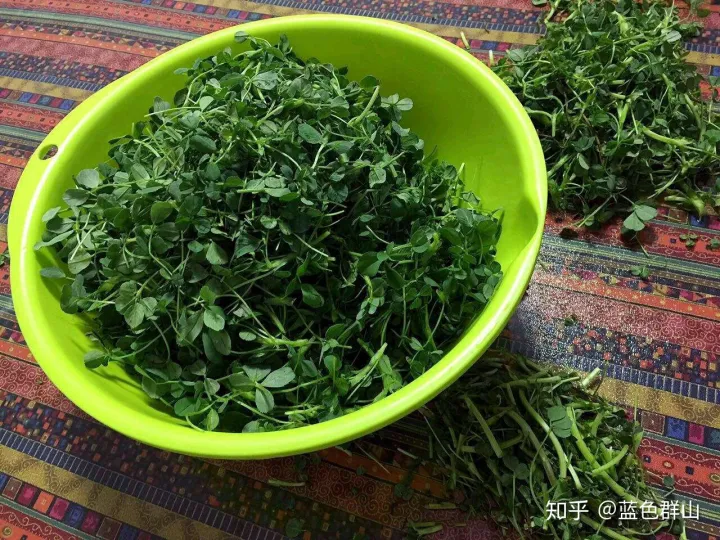 新疆的咬春(圖3)