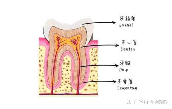 我在長沙市口腔醫院補牙全過程及經驗分享(圖7) 我在長沙市口腔醫院補牙全過程及經驗分享(圖7)