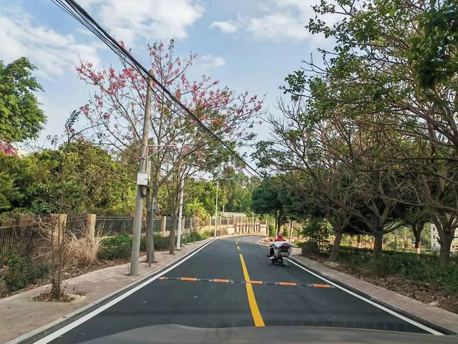 投資250多萬元！惠安這個(gè)村：鄉(xiāng)村道路“白改黑”鄉(xiāng)村振興“添新顏”(圖2)