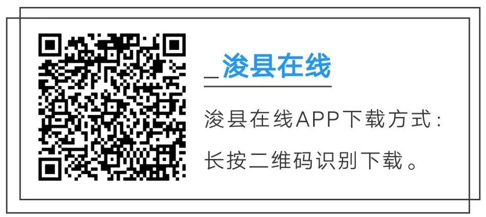 【浚縣在線】浚縣在線抖音號出新作品了—出售葡萄樹—早點(diǎn)設(shè)備—黃梨樹苗—老板椅...(圖5)