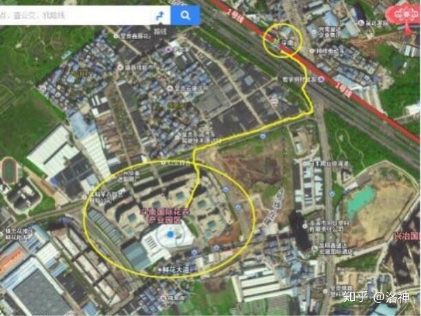 昆明斗南花市營業時間、春節營業時間、斗南花市地址、旅游攻略(圖4)