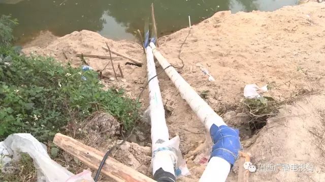 陽西縣嚴厲打擊河道非法采砂行為(圖6)