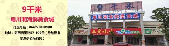 陽西縣嚴厲打擊河道非法采砂行為(圖12)