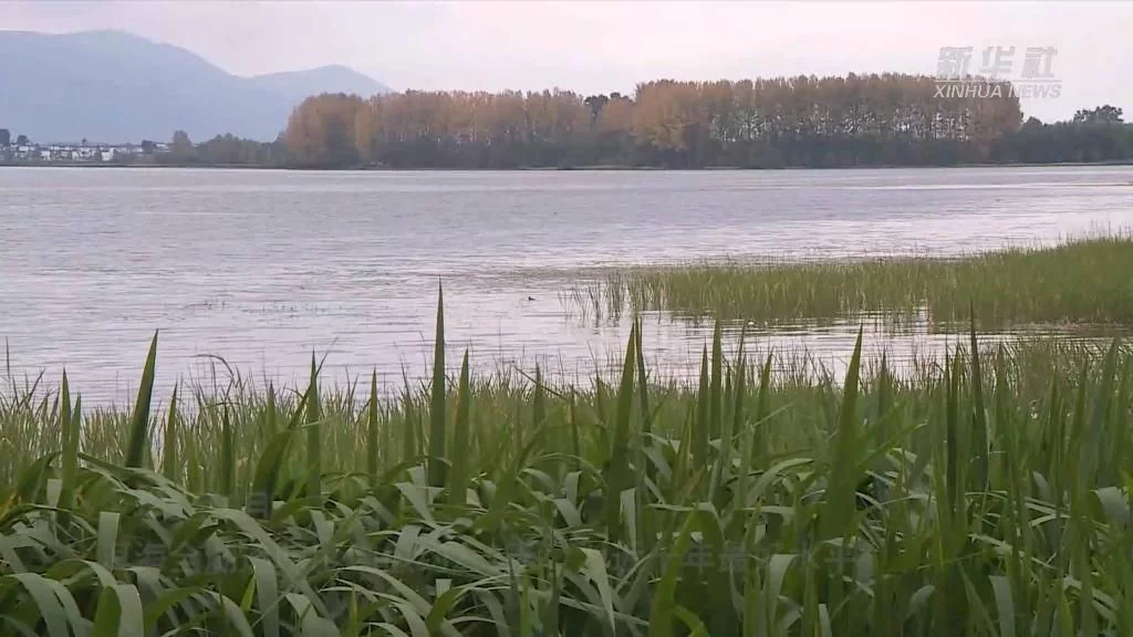 喜迎二十大｜洱海之治(圖5)