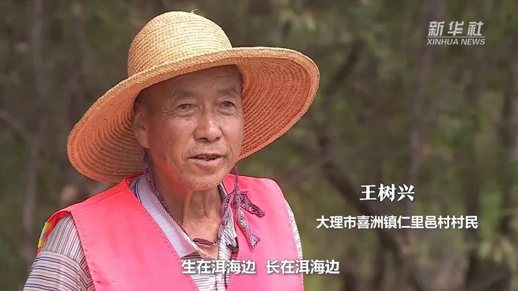 喜迎二十大｜洱海之治(圖3)
